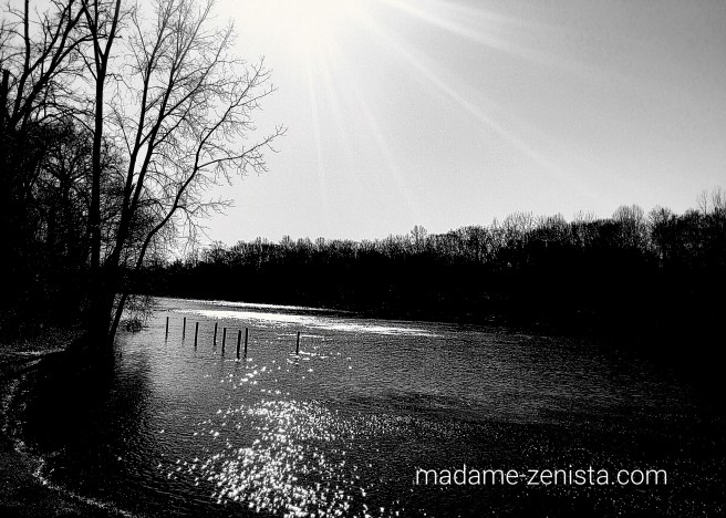 Black and white, reflection, monochrome, photography,